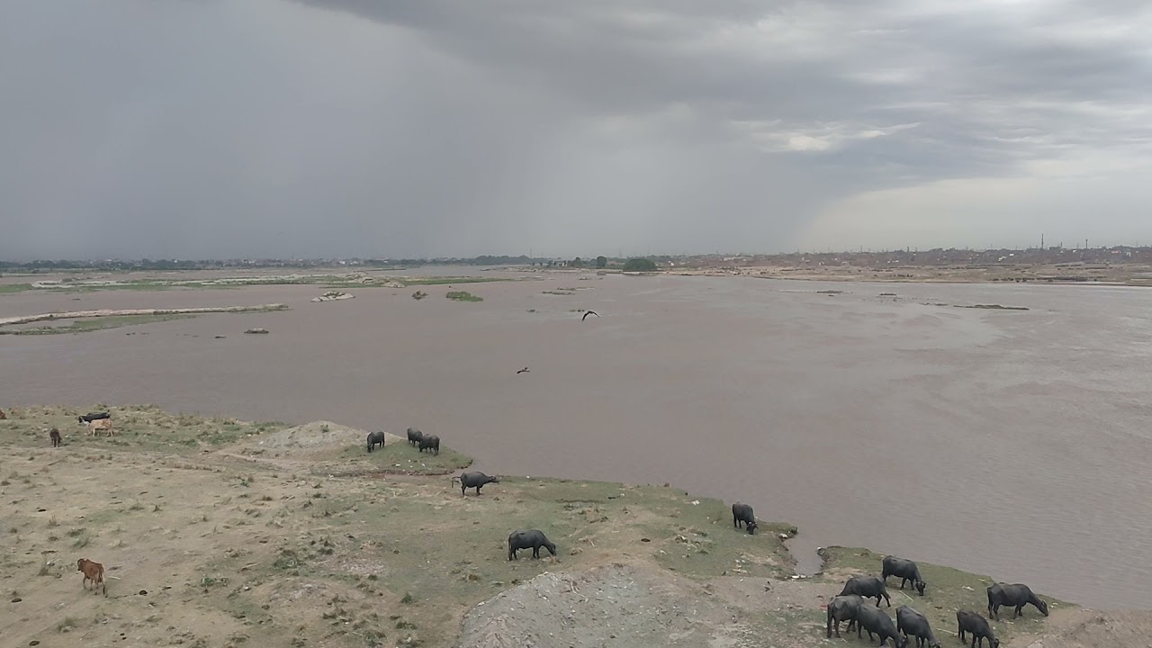 Flood Ravi River Lahore Status