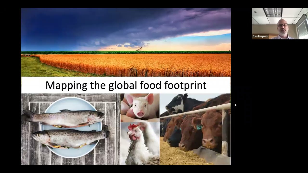 What should we eat? Mapping the environmental footprint of food from the ocean and land