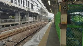 E233系3000番台10両+E231系8000番台5両　上野東京ライン東海道線直通伊東行き
