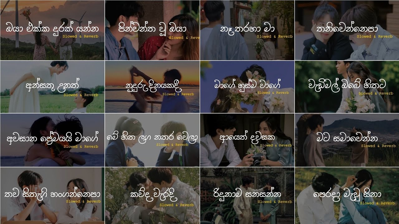 Nonstop Sinhala Slowed and Reverb Song Collection |😫❤️| මනෝපාරකට - Playlist 06 @skmusic_