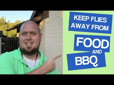 Keep Flies Away from Your Food and BBQ During the Summer