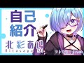 【 自己紹介 】絵描き系Vtuberの北彩あいと申します!【 Villustrator 】