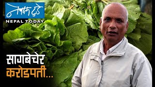 सागबाटै ३ करोड NEPALTODAY: Green Leaves meet 300 Million