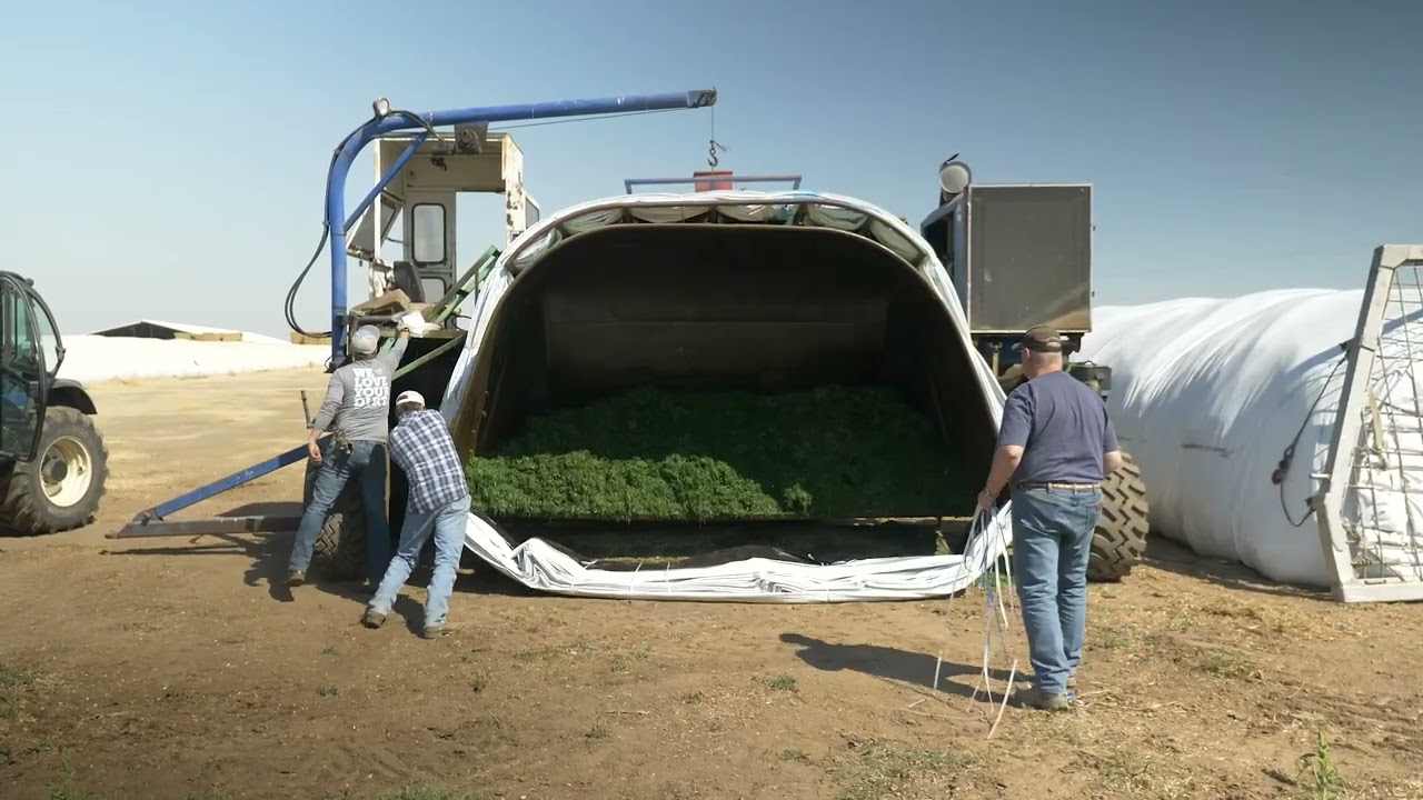Lot 250 The Great Ag Bagger