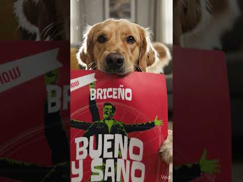 BUENO Y SANO EN MARACAY