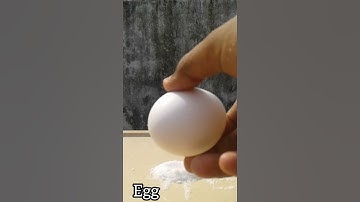 🔥salt v/s egg (balanced egg) science expiriment reaction😱 #m4tech #shorts #yt