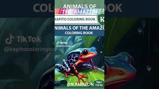 A Kapito Coloring Book: Animals of the Amazon Coloring Book