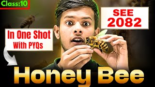 Class 10 Science Honey Bee 🐝 One Shot | SEE 2082 | PYQs + Important Questions