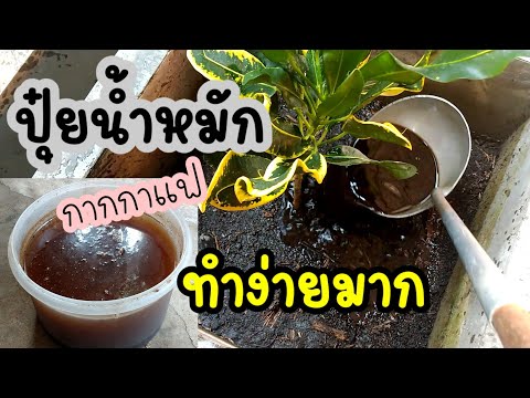 ปุ๋ยน้ำหมักกากกาแฟ ทำเองง่ายๆ