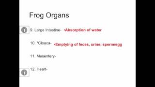 SCI7/8 - Frog Organ Functions