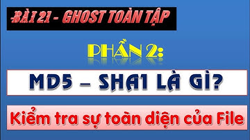 MD5 | Hướng dẫn cách check mã MD5, SHA1 bằng phần mềm chi tiết nhất