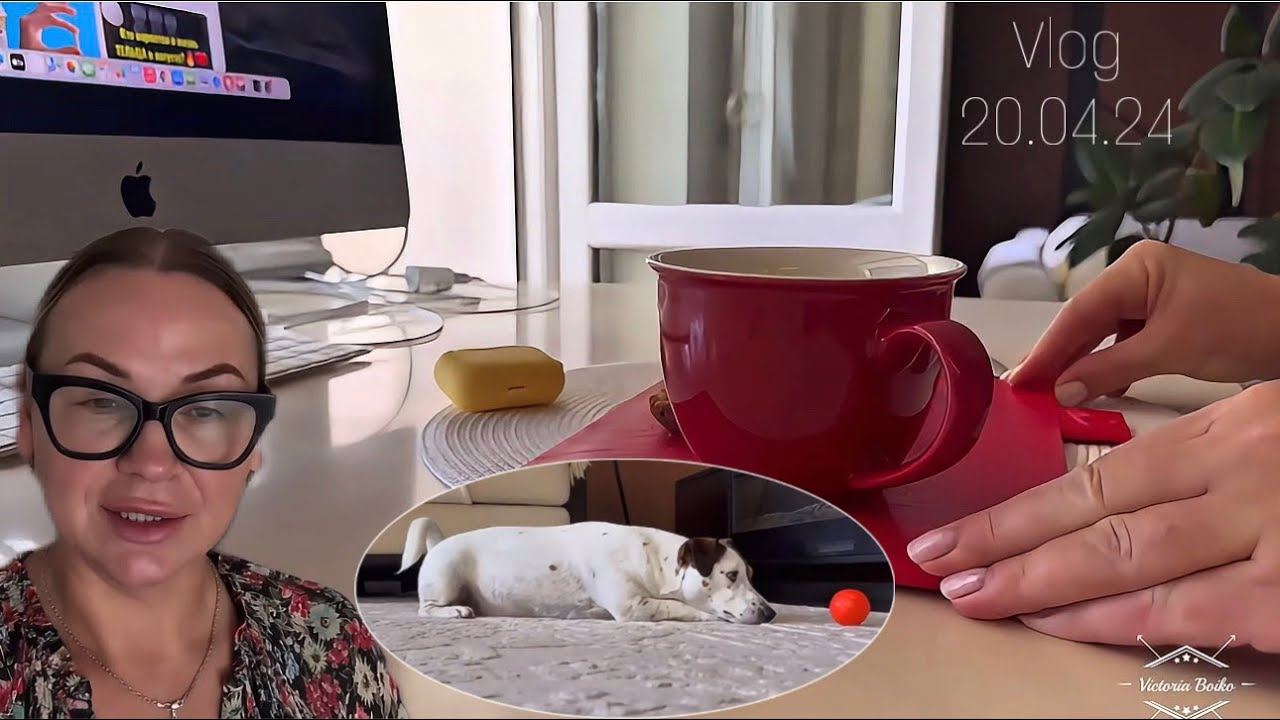 архив VLOG | КИЕВ | НАША НЕ СПОКОЙНАЯ ,НО СЧАСТЛИВАЯ ЖИЗНЬ В УКРАИНЕ | ТАКИЕ УЮТНЫЕ БУДНИ 