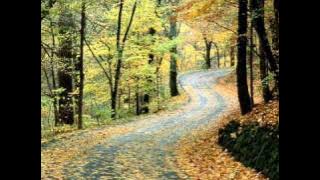 The Blue (Kim Min Jong) - Endless Love 2009