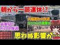 【思わぬ影響が!?】朝から一部運休!? ラッシュ直撃!? 4両で超満員!? 関紀が2連続!? また派手に荒れている阪和線に乗ってみたら…【ゆっくり実況】