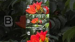 Estamos buscando al rey del Zoom y de las fotografías de retrato con baja iluminación.