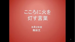 【恋愛のひとこと名言】哲学者や作家、著名人の言葉から伝わる！恋愛のオススメ名言集