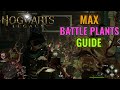 How to Always Have Max Battle Plants in Hogwarts Legacy