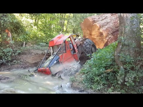 Dangerous Idiots Logging Wood Trucks Operator | Oversize Load Heavy Equipment Tractor Working