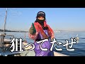 神崎の海で驚きの大物登場!魚の種類が豊富に!