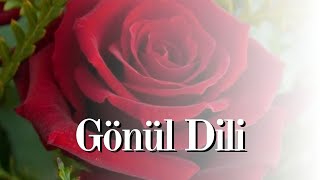 Gönül Di̇li̇ 1- Üstad Hazretleri̇ni̇n Derdi̇ni̇ Teşhi̇s Eden Doktora Cevabi