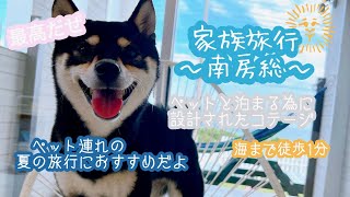 【千葉県南房総】【ペット可コテージ】ペットの為に作られたコテージ🐶シーグラス白浜に旅行に行ったよ🌊