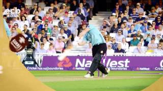 Finch: Master Blaster