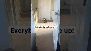 Its 6 Am And Arthur Wants Everyone Awake