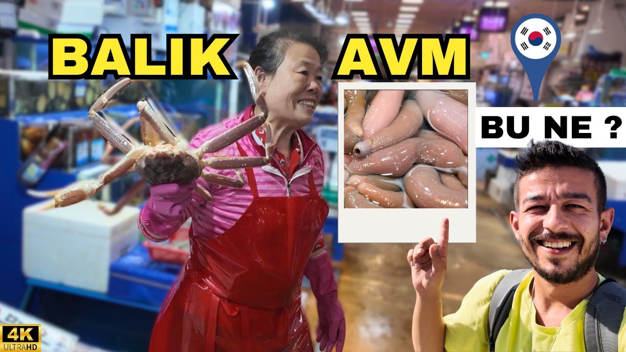 Balık AVM’de Garip Bir Balık! Adını Bilmiyorum. (Bunu Gerçekten Yiyorlar mı?) 🇰🇷15