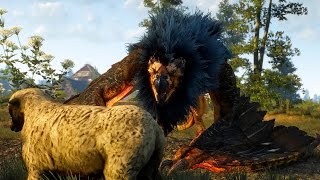 Witcher 3 Royal Griffin Boss Fight Hard Mode 4K 60Fps