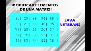 Modificar elementos de una matriz - JAVA