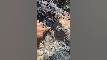 إشارة تكنيزيه العثمانيه 
