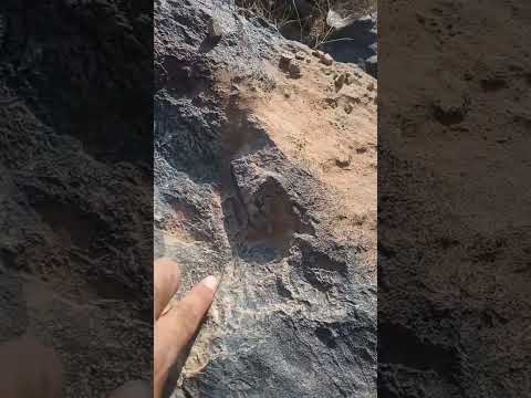 إشارة تكنيزيه العثمانيه