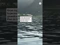 Gran expectación por dos grandes ballenas nadando en la bahía de Port de la Selva
