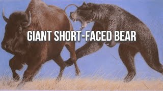 Arctodus: The “Short-Faced Bear” is Misunderstood.