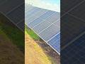 Solar Site Cinematic View #shorts #viral #viralvideo #solarenergy #youtubeshorts