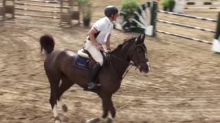 Joli Coeur P, 130cm   Πρωτάθλημα 1 2017 IOMS mp4