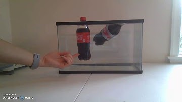 Density of Soda: Regular vs Diet Coke