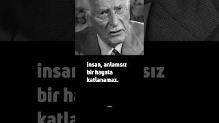 Carl Jung Insan, Anlamsız Bir Hayata Katlanamaz. Üsha Şfet