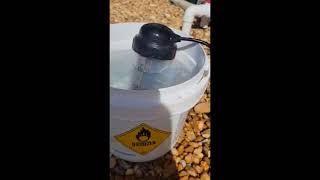 cleaning Salt cell
