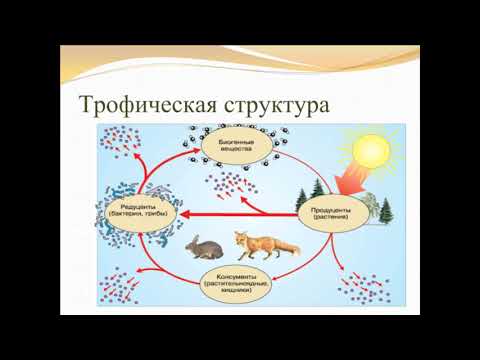 Биоценоз 9 класс