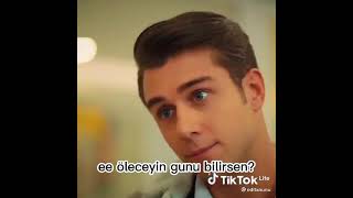 Yaz Adimi Divara Simpatisni Avara