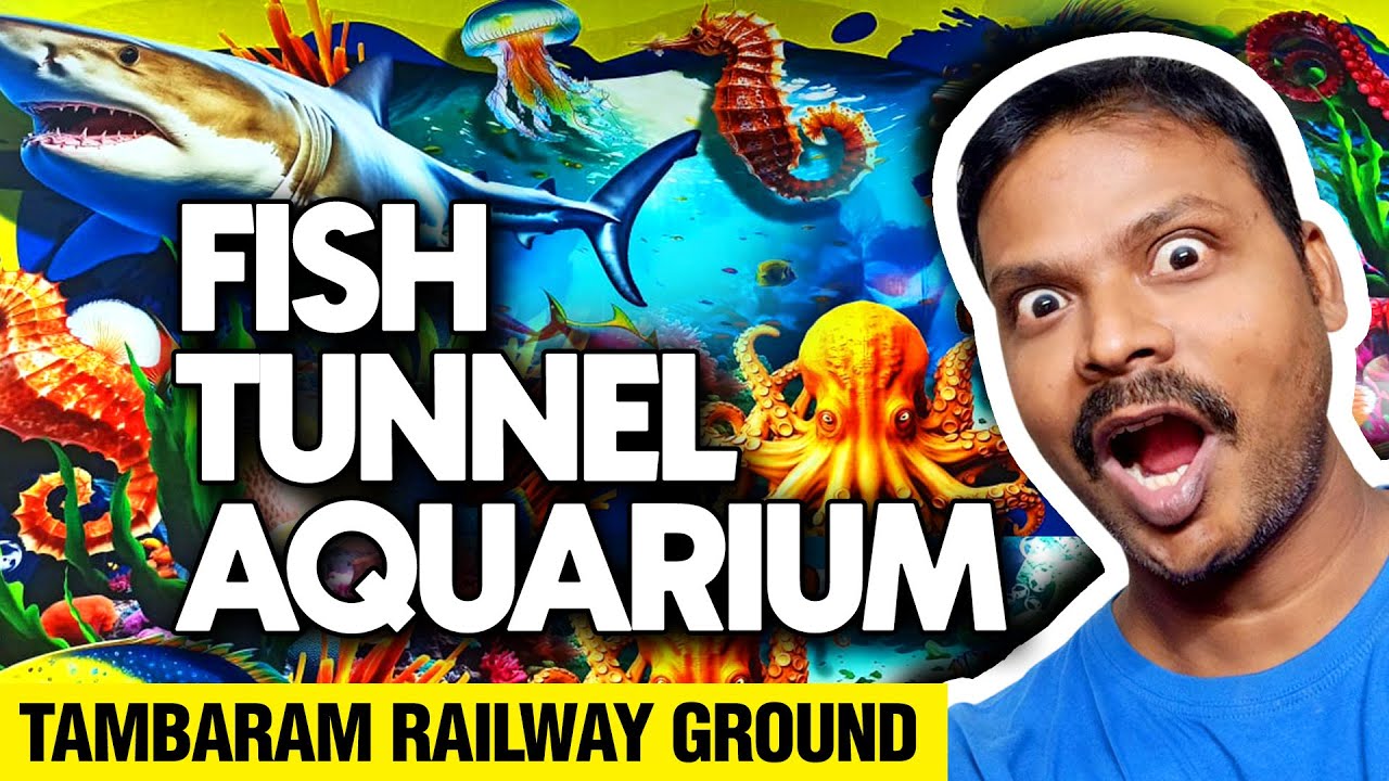 Double Takkar 😍🐟🐬🐳 Fish Tunnel Aquarium Tambaram Exhibition
