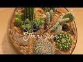 Make a Cactus Terrarium - How To Terrarium ep. 4