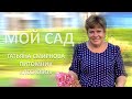 МОЙ САД |ПИТОМНИК "ЛЕСКОВО"| ТАТЬЯНА СМИРНОВА