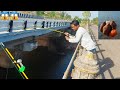 माडु नदी मोर्सी के। पुल के ऊपर से रहु मछलयो को पकड़ा!   Rohu Fishing in river || Rohu fish hunting