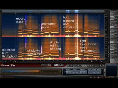 Audio Restoration - iZotope RX & Melodyne