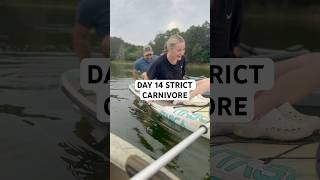 Day 14 Strict carnivore