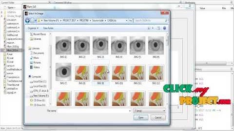 Iris recognition Using combined support vector & Hamming distance | Final Year Projects 2016 - 2017