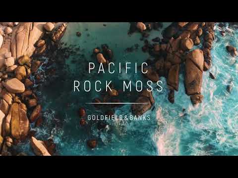 Goldfield & Banks Australia Pacific Rock Moss