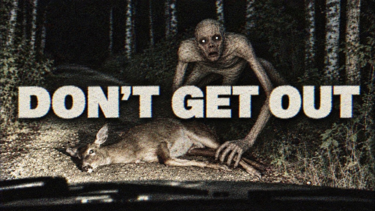 Something in the Deep Woods Was Using a Dead Deer as Bait